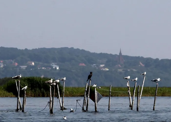 Na Górce * Miedzyzdroje